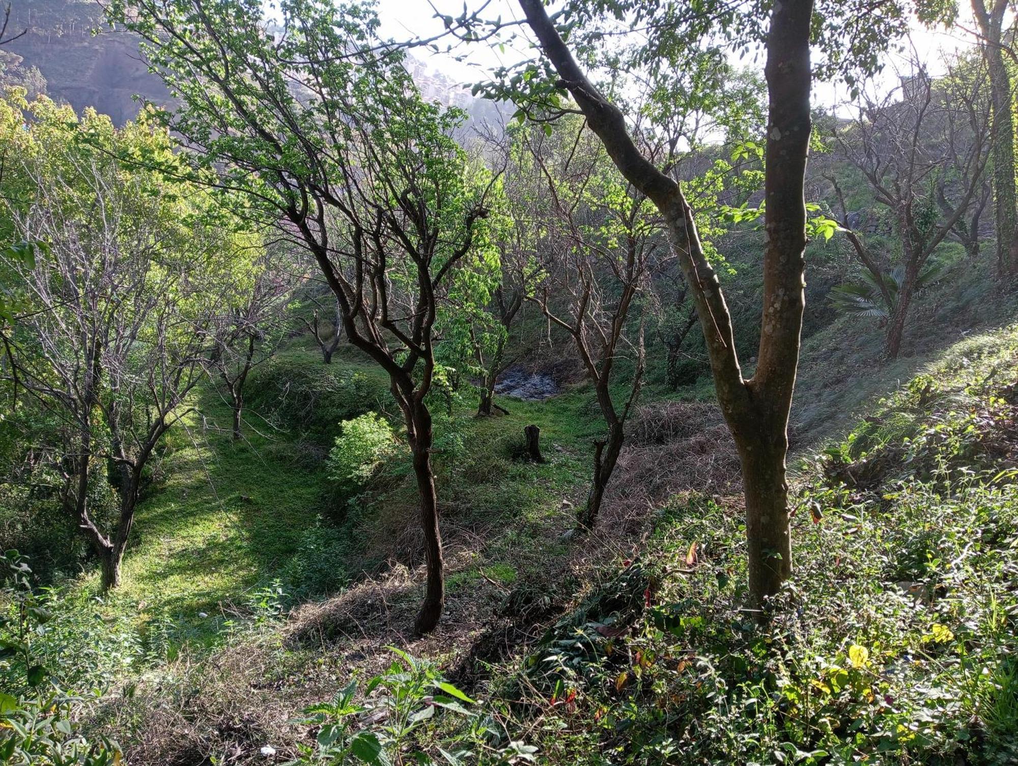 Mohija Homestay Kandāghāt Exterior foto
